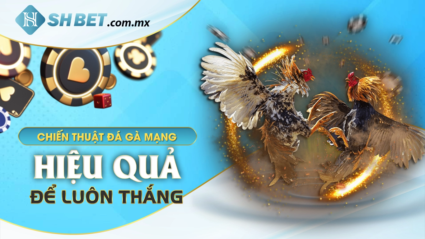 Chiến thuật đá gà mạng hiệu quả để luôn thắng