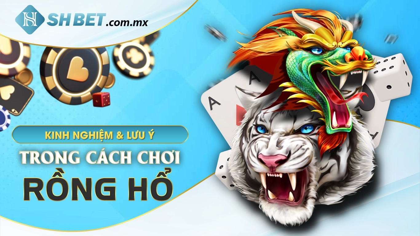 Kinh nghiệm và lưu ý trong cách chơi rồng hổ